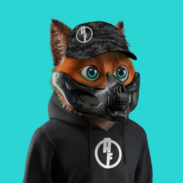 Anonymous Fox #24